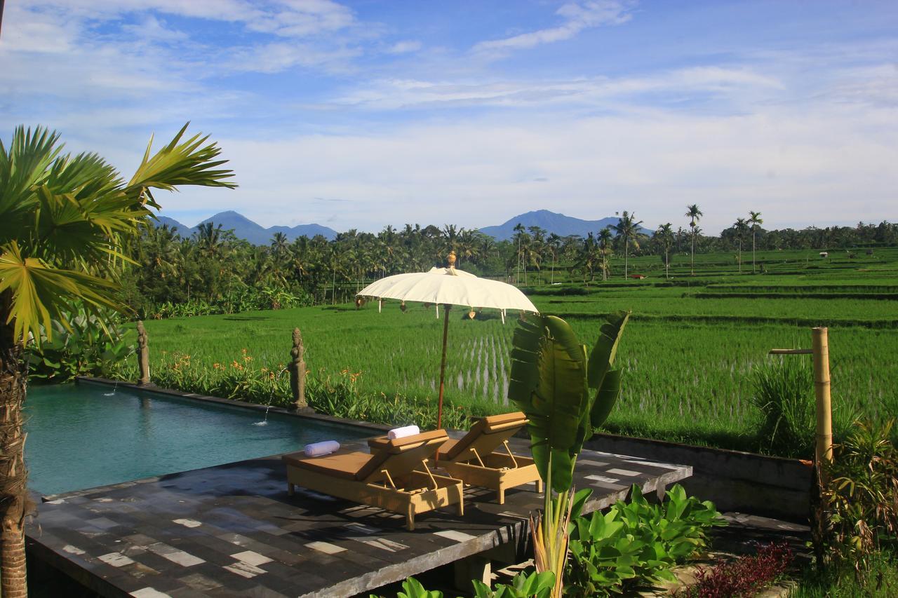 Padi Bali Eco Villas Payangan Exterior foto
